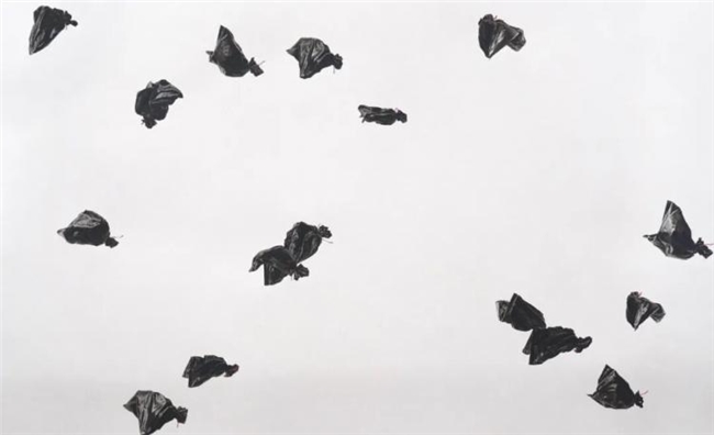 当垃圾成为主角,《垃圾时代》插画里的生态荒诞与现实刺痛