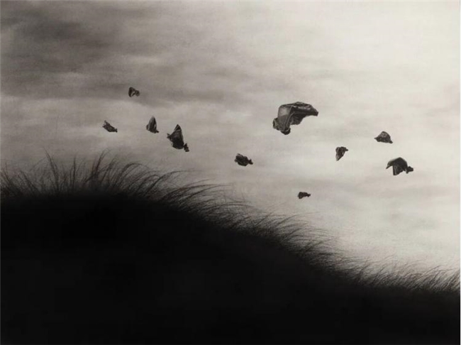 当垃圾成为主角,《垃圾时代》插画里的生态荒诞与现实刺痛