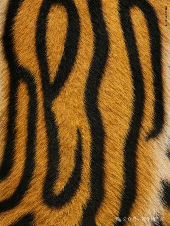 方寸海报藏天地，孙鹏以设计之力对话世界