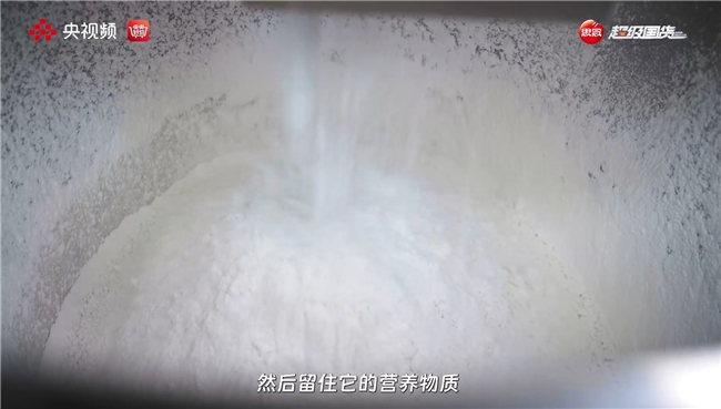 央视探厂:从指尖到智能,一颗小汤圆的智造之旅