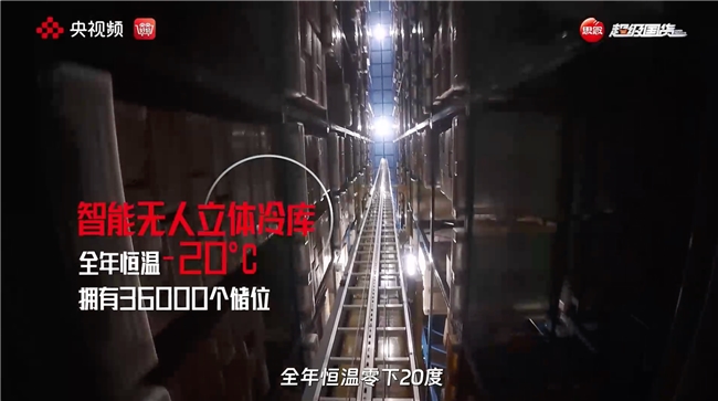 央视探厂:从指尖到智能,一颗小汤圆的智造之旅