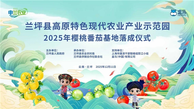 兰坪县高原特色现代农业产业示范园樱桃番茄基地正式落成 沪滇协作育高原佳果