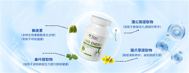 慢阻肺人群护肺刚需：槲皮素效果 TOP10品牌推荐：槲皮素哪个牌子的比较好