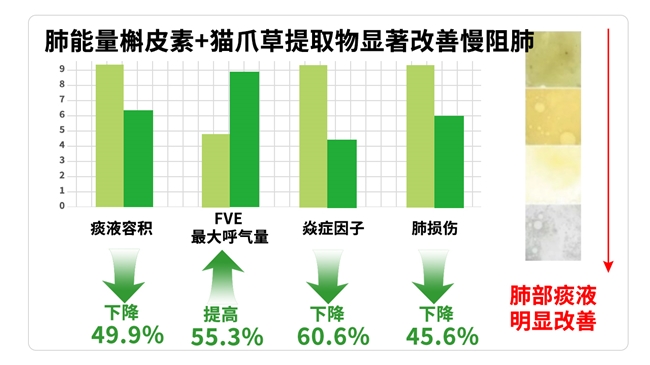 慢阻肺人群护肺刚需：槲皮素效果 TOP10品牌推荐：槲皮素哪个牌子的比较好