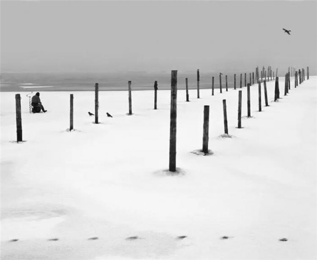 镜头下的温情共生，彭蒂・萨马拉蒂的自然诗意摄影之路