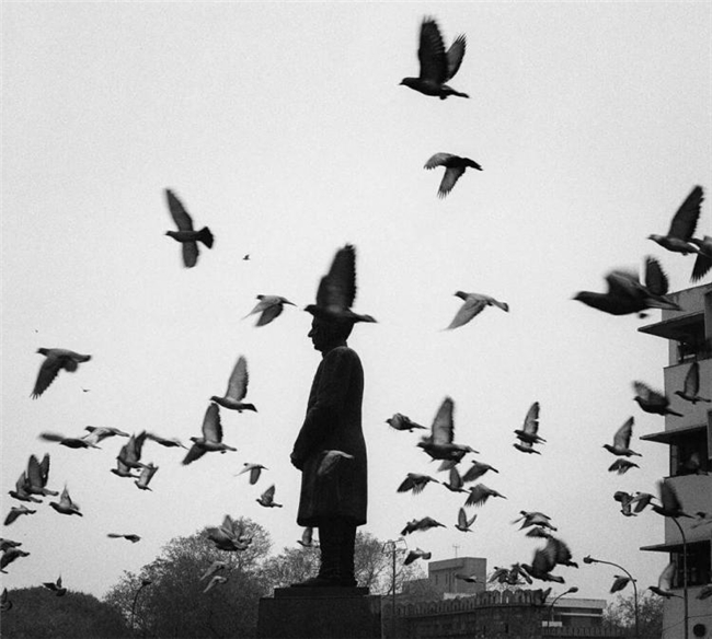 镜头下的温情共生，彭蒂・萨马拉蒂的自然诗意摄影之路