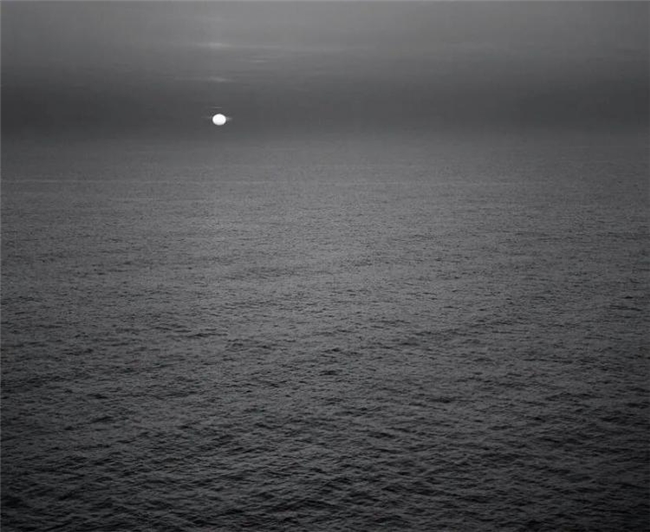 镜头下的温情共生，彭蒂・萨马拉蒂的自然诗意摄影之路