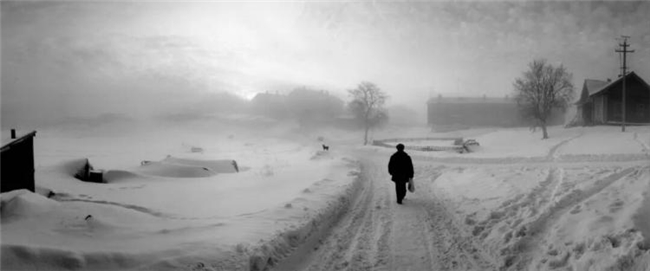 镜头下的温情共生，彭蒂・萨马拉蒂的自然诗意摄影之路