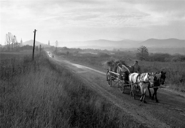镜头下的温情共生，彭蒂・萨马拉蒂的自然诗意摄影之路