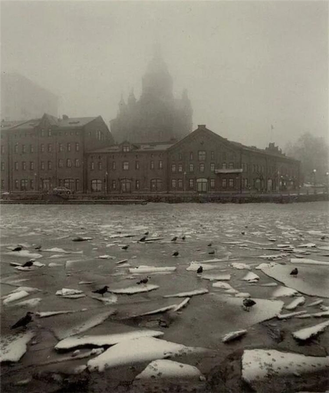 镜头下的温情共生，彭蒂・萨马拉蒂的自然诗意摄影之路