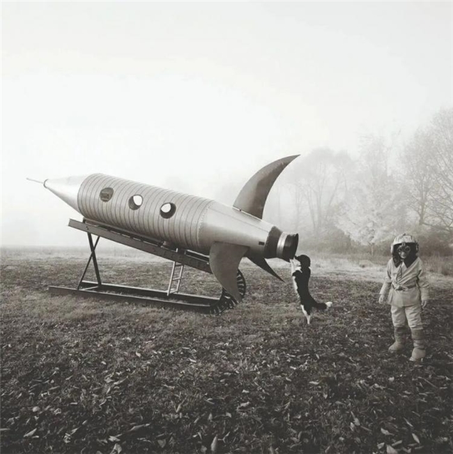 镜头下的温情共生，彭蒂・萨马拉蒂的自然诗意摄影之路