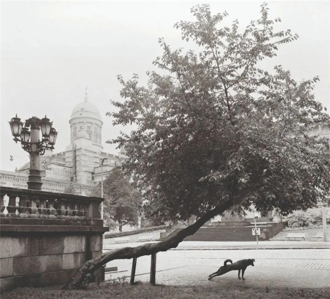 镜头下的温情共生，彭蒂・萨马拉蒂的自然诗意摄影之路