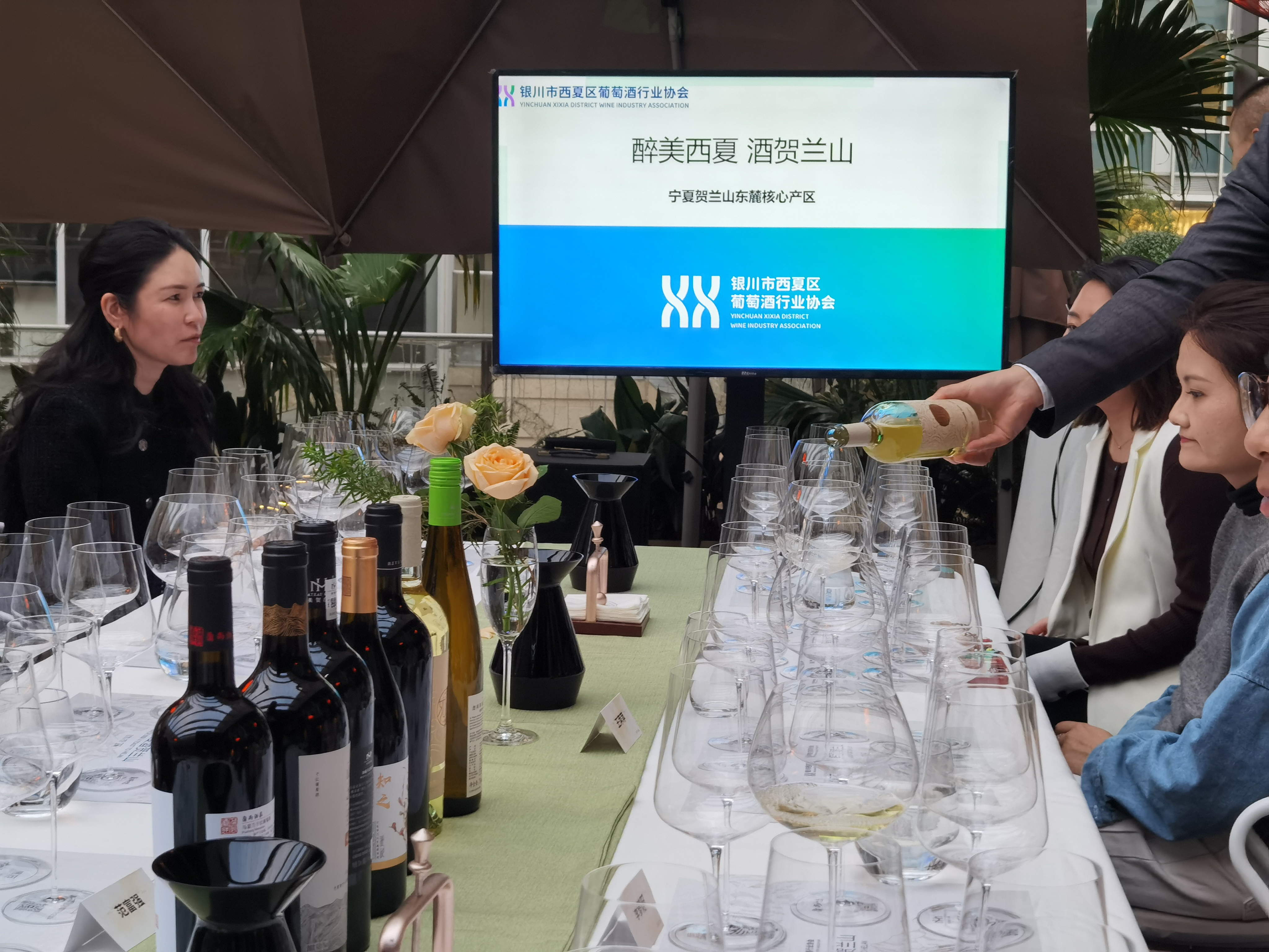 酒旅融合破圈吸睛,贺兰山东麓西夏产区以酒为媒激活文旅消费