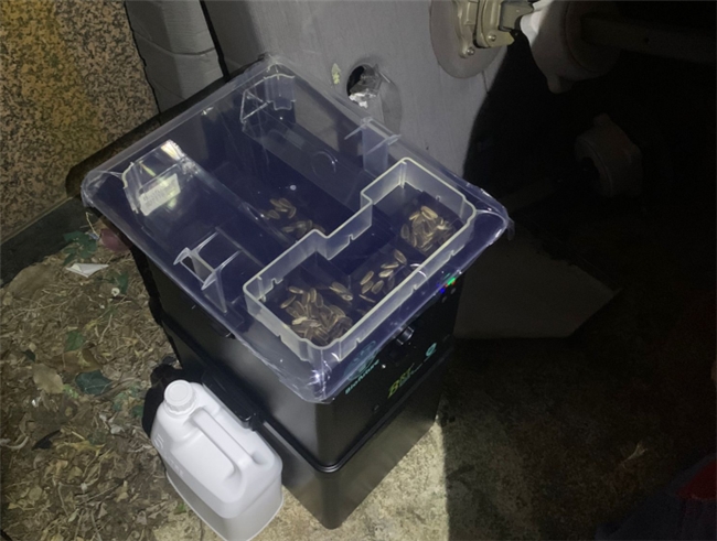 MasterClean｜香港14年老牌清潔專家，一站式搞定滅鼠除蟲除甲醛