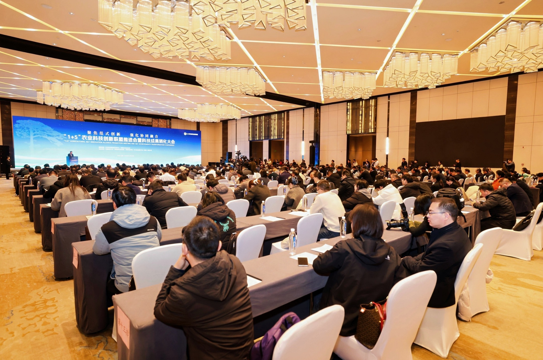 从赛场到沃野：看安徽这场大赛如何浇灌农业“科创森林”