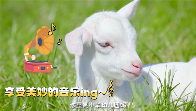 佳贝艾特悦白:稳居奶粉口碑最好的前十名,凭实力圈粉万千爸妈 佳贝艾特悦白:稳居奶粉口碑最好的前十名,凭实力圈粉万千爸妈