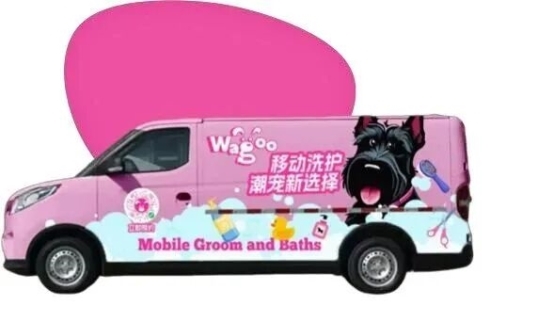 当「万物生・态不同」照进现实，Wa