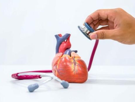 国产辅酶有哪些大品牌？国产的辅酶q10哪个牌子好？推荐十个国产品牌，选它们错不了！