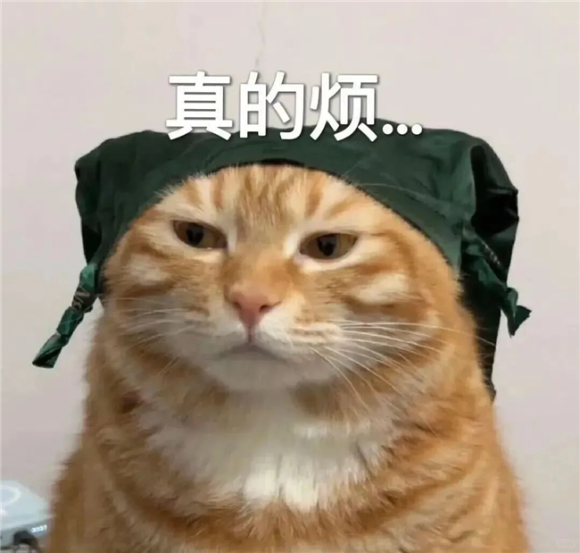 预算4k+搞定高端家居感？TCL A400 Pro：不止是电视，更是艺术摆件(图1)