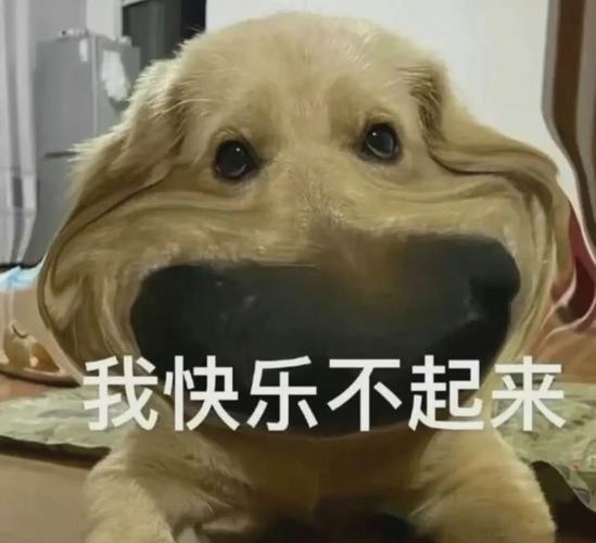 颜值党+画质控直接狂喜！这台能“走”遍全屋的艺术电视太强了！