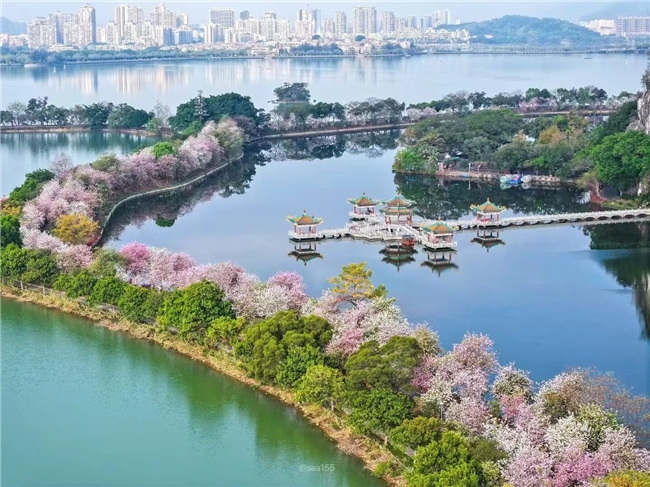 宠粉福利大放送！星湖免票馈姑苏，肇庆邀您过大年