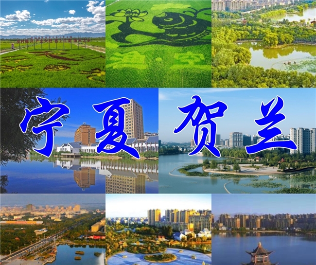 定义贺兰文旅新名片！口号&IP形象创意征集启动，丰厚大奖等你拿