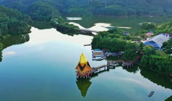 云南旅游必去十大景点清单:望天树藏雨林密码,民族风情醉游人