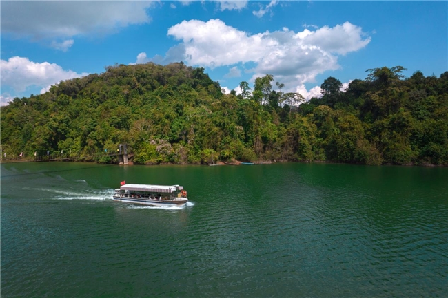 云南旅游必去十大景点清单:望天树藏雨林密码,民族风情醉游人