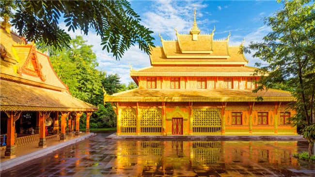 云南旅游必去十大景点清单:望天树藏雨林密码,民族风情醉游人