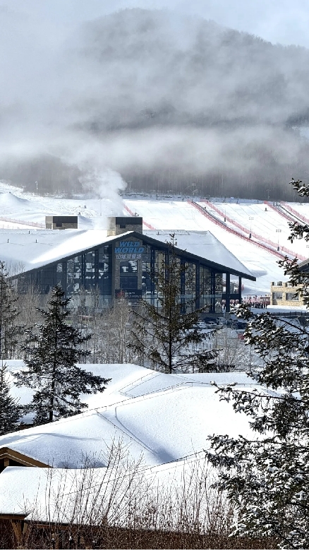 入住「慢奢」,在瑞士酒店追寻生活感知力