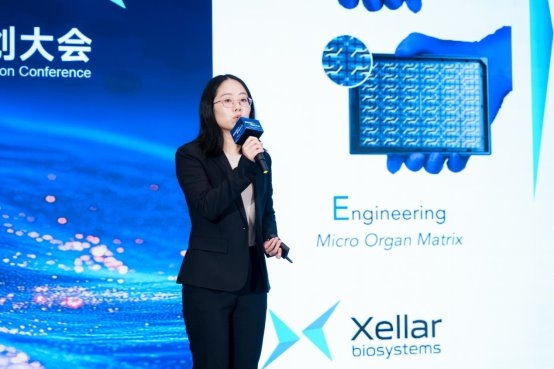 2026 “科创新芽” 南上海创新创业大赛颁奖盛典 业界 第4张