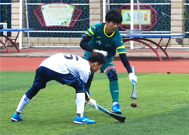 牡丹映盛会，创意聚中原！2026洛阳少数民族传统体育运动会征集启幕