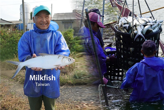 从台南盐水到国际舞台 揭开台湾“鱼鳞胶原蛋白肽”的生物科技研发之路