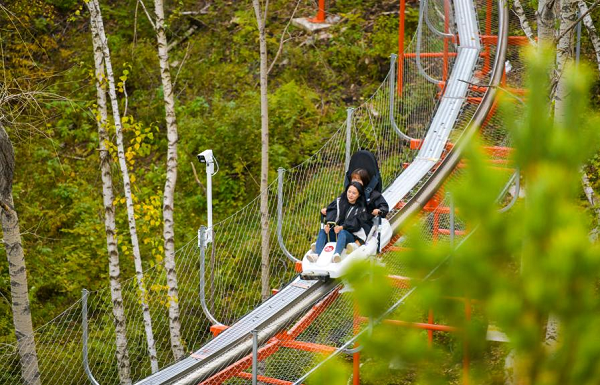 以全景解决方案为基：YOLOR为景区游乐设备升级提供可持续保障