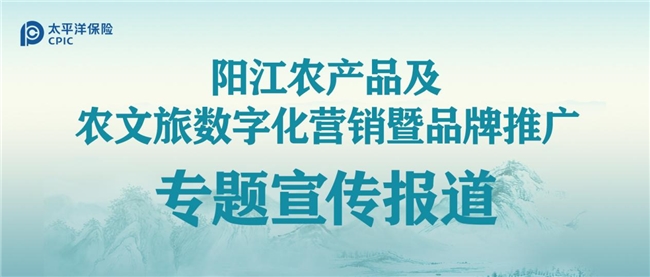 唤醒千年海丝文化新活力  阳江农文旅融合数字化破局实践