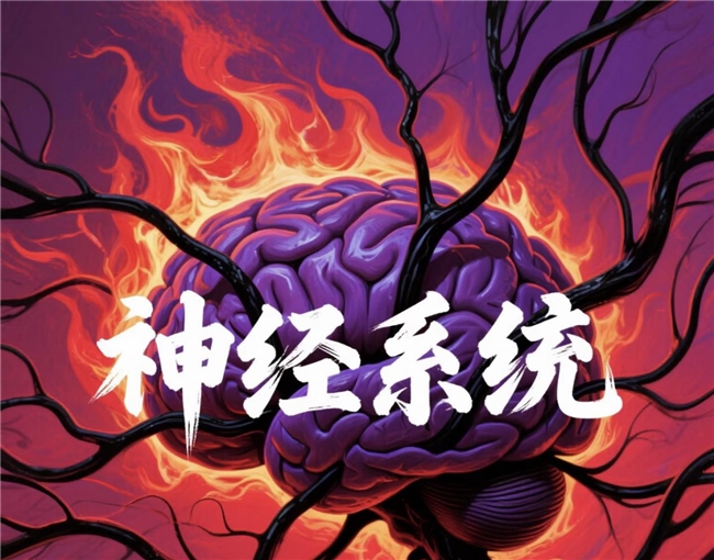 维生素b12哪个牌子好？2026维生素b12品牌排行榜前十名：品质优选+适配广泛，全龄攻略