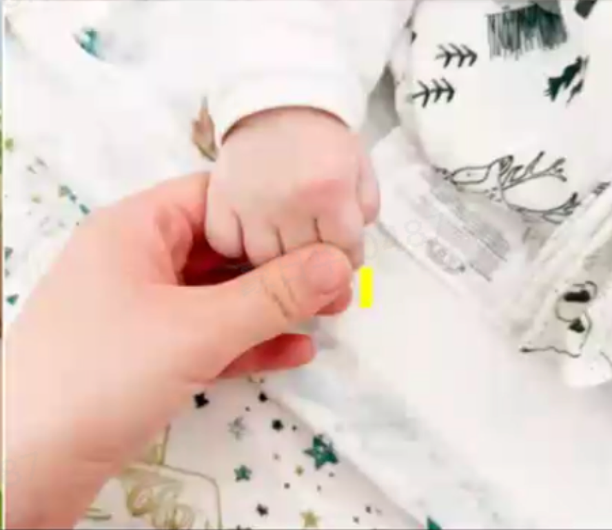 让宝宝赢在起跑线：小仙炖鲜炖燕窝对胎儿智力与皮肤发育的科学支持