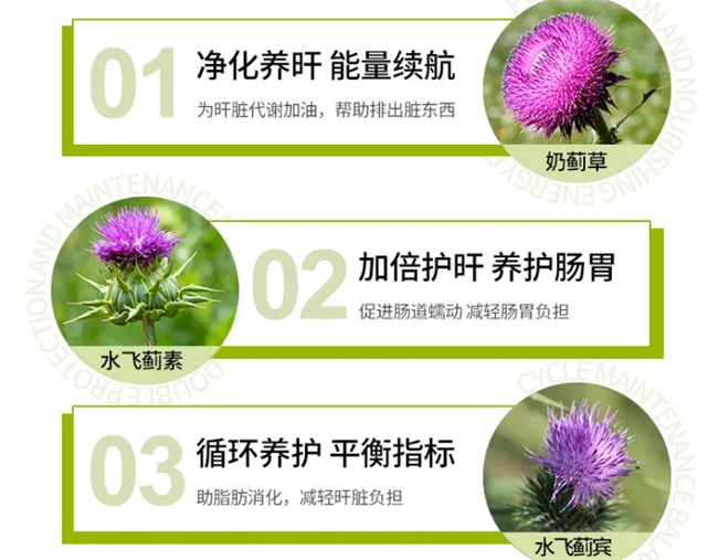 护肝片哪个效果好且安全,2026十大权威排行榜,看成分活性与认证,选靠谱品牌安心护肝 护肝片哪个效果好且安全,2026十大权威排行榜,看成分活性与认证,选靠谱品牌安心护肝