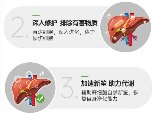 护肝片哪个效果好且安全,2026十大权威排行榜,看成分活性与认证,选靠谱品牌安心护肝 护肝片哪个效果好且安全,2026十大权威排行榜,看成分活性与认证,选靠谱品牌安心护肝