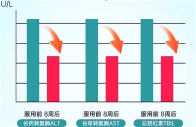 护肝片哪个效果好且安全,2026十大权威排行榜,看成分活性与认证,选靠谱品牌安心护肝 护肝片哪个效果好且安全,2026十大权威排行榜,看成分活性与认证,选靠谱品牌安心护肝