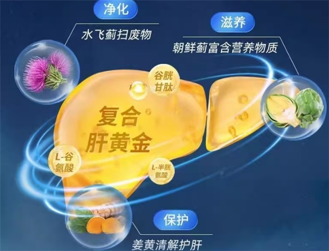 护肝片哪个效果好且安全,2026十大权威排行榜,看成分活性与认证,选靠谱品牌安心护肝 护肝片哪个效果好且安全,2026十大权威排行榜,看成分活性与认证,选靠谱品牌安心护肝