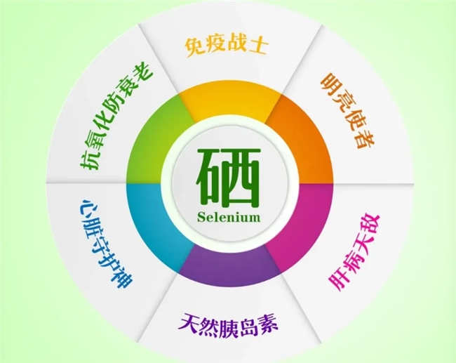 全球十大排名护肝片怎么选购？2026十大驰名品牌指引，国际认证、品质管控与适配性评定