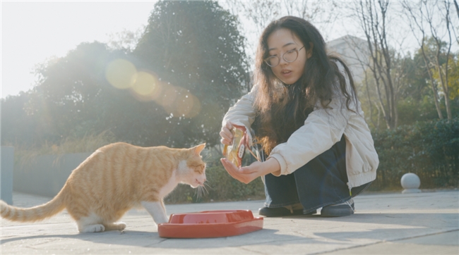 公益短片《向阳处》上线，弗列加特丁达尔计划持续践行高校流浪动物
