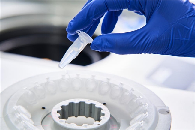 独家甄选、科学验证：格力高GCL1815菌的免疫与美味双重答案