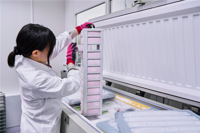 独家甄选、科学验证：格力高GCL1815菌的免疫与美味双重答案