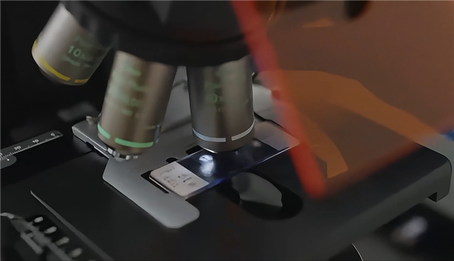 独家甄选、科学验证：格力高GCL1815菌的免疫与美味双重答案