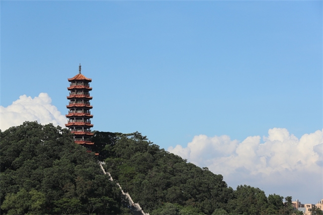 潮创红花山！公园品牌 IP&Slogan 全民创意征集