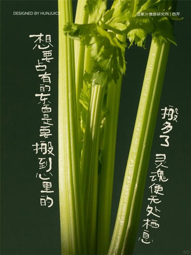 一席情蔬，半阙心语 混果汁的食物情感美学