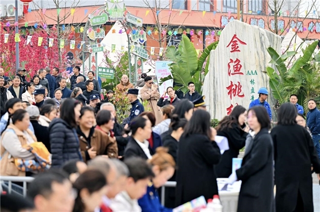 2026养马桃花群众文化季开幕!来金渔桃缘,赴一场春日之约
