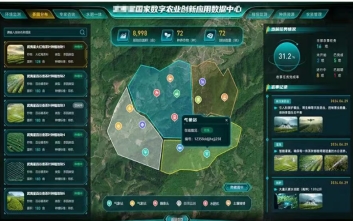 茶园里的答案：武夷学院学子这样响应“三茶统筹”